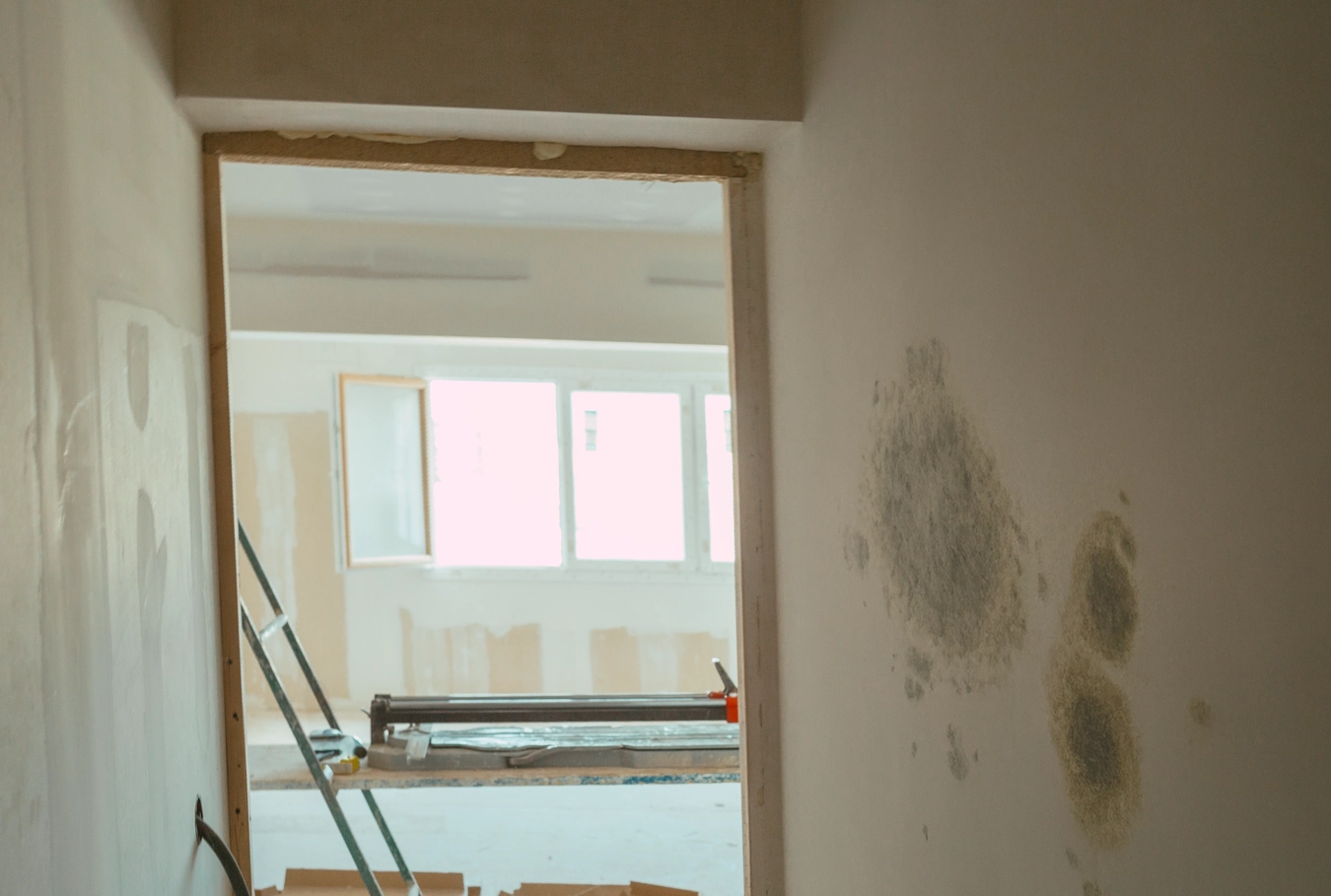 Schimmel an Wänden, Feuchtigkeitsproblem in der Wohnung